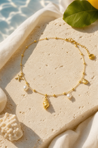 Cetara shell necklace still life