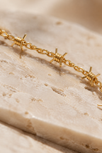 Macro of the barbed wire link